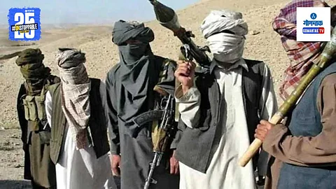 Terrorists