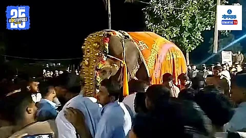 Mahadevi Elephant Kolhapur