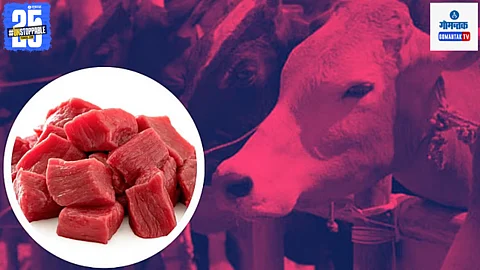 Beef Smuggling