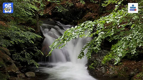 Stream