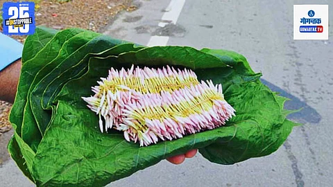 Jasmine flowers in Borim Goa