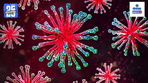 West Nile Virus Cases