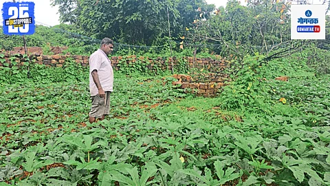 Goa Agriculture