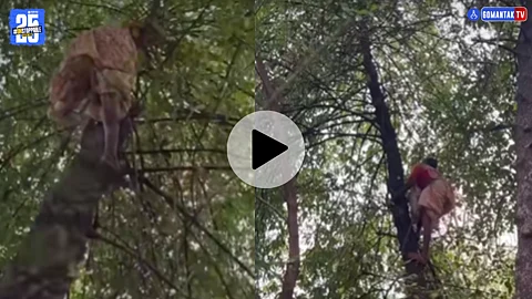 Konkan viral video