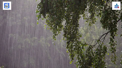 goa monsoon news