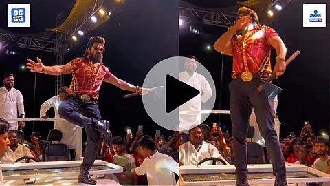 madgaon dahi handi pushpa video
