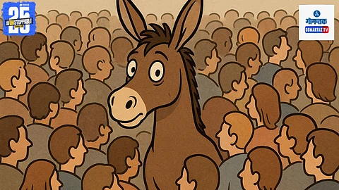 Goa one donkey