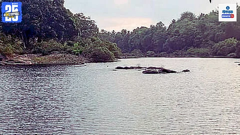 Savarde Sonal dam project
