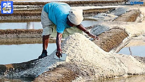 goa salt gi tag