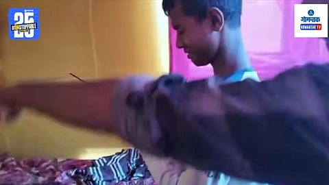 Viral Video News
