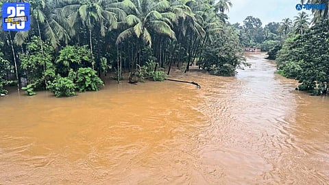 Goa Rain