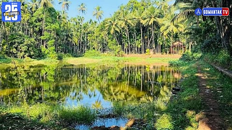 Narve Village Goa
