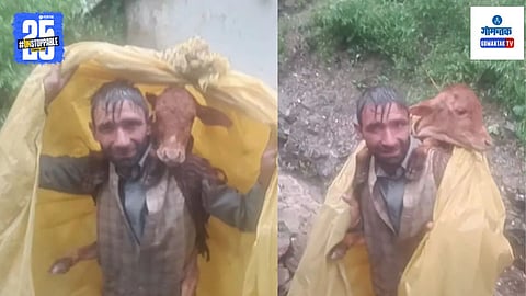 Jammu Calf Rescue Viral Video