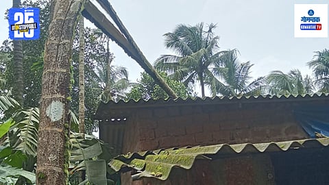 Goa News: वादळी वाऱ्यामुळे सुपारीचे झाड घरावर कोसळले, सुदैवाने जीवीतहानी टळली; वाचा दिवसभरातील घडामोडी
