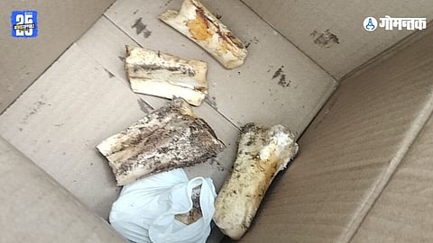 sattari market bones discovery