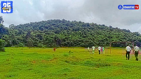 Arambol Bhatwadi tree cutting