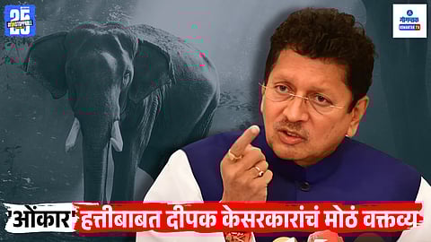 Omkar Elephant Update