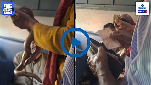 Railway passengers extorted by snake | Viral Video