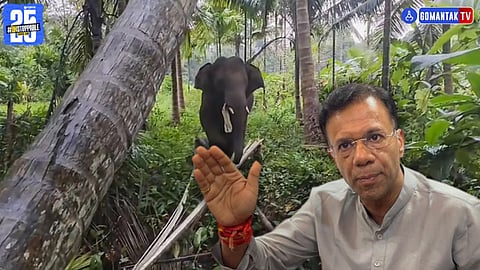 Omkar elephant relocation Goa