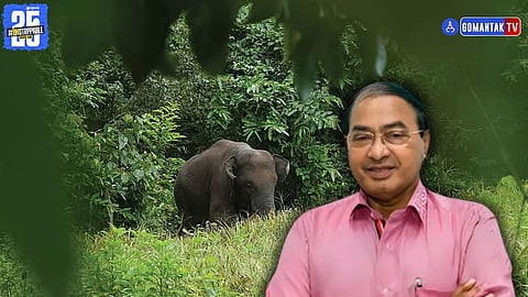 Omkar elephant Goa