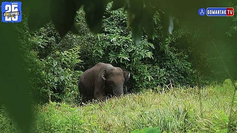 Omkar elephant villagers