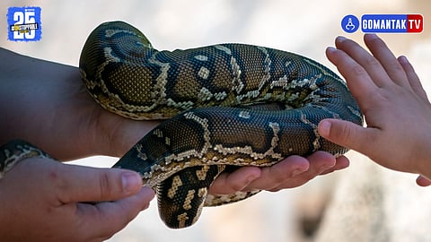 Nepali citizen snake bite Goa