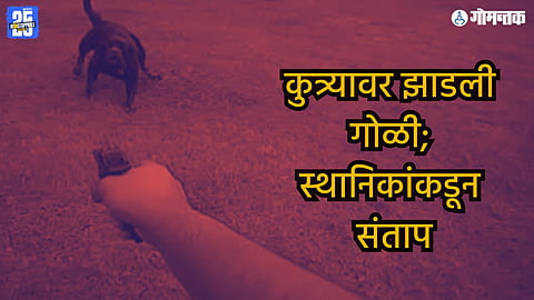 Aldona pet dog shooting