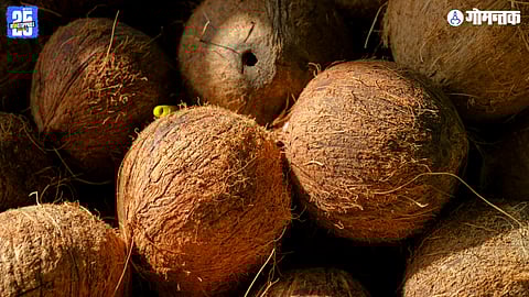 Goa Coconut