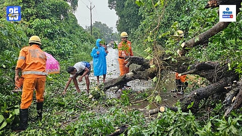 goa rain video