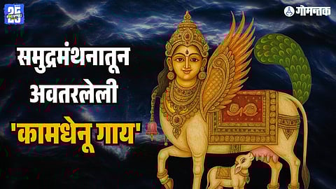 Kamdhenu Cow, Diwali Vasubaras 2025