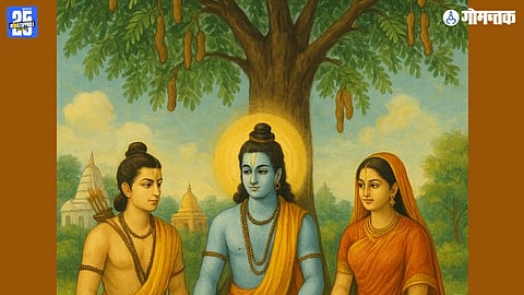 Tamarind tree in india, tamarind uses in goa, history of tamarind tree