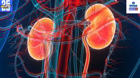 Chronic Kidney Disease India