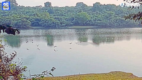 Toyyaar Lake Chimbel | Chimbel Wetland Goa