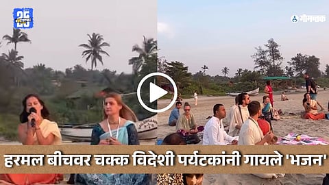 Arambol Beach Video