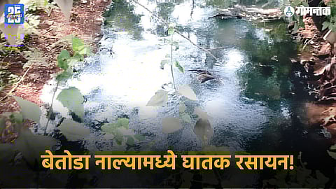 Bethora pollution news