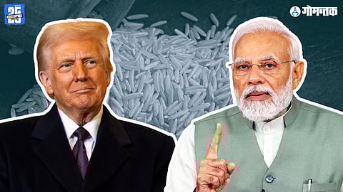 Basmati Rice Import Duty