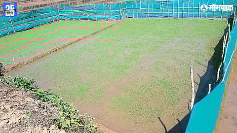 Canacona Vegetable Farming