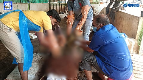 Valpoi Record Surgery