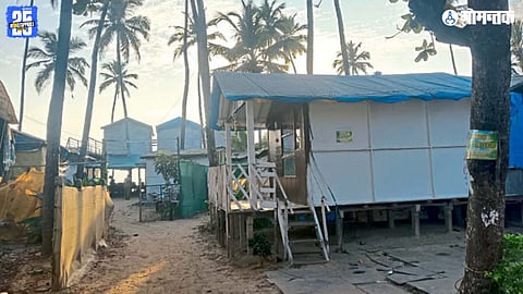 Illegal Tourism Activities