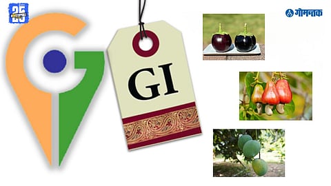 GI Tagged Products Goa