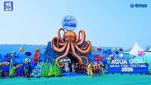 Goa fisheries festival