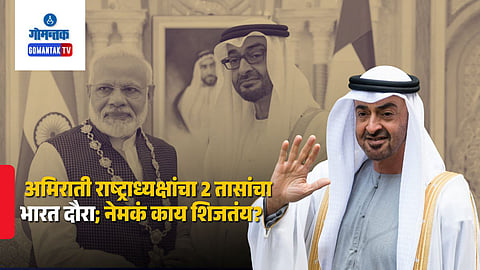 pm modi & mohamed bin zayed