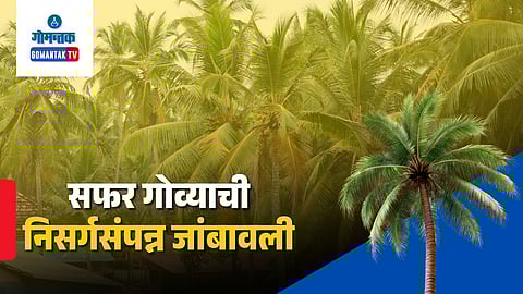 Zambaulim village Goa