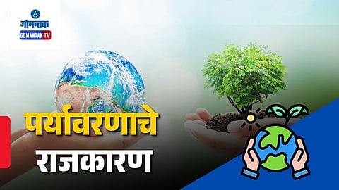 Nylon 66 project in Goa