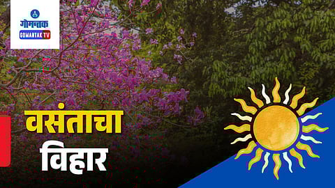 spring season in india