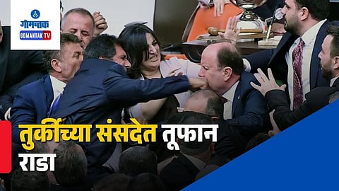 Turkiye Parliament Brawl
