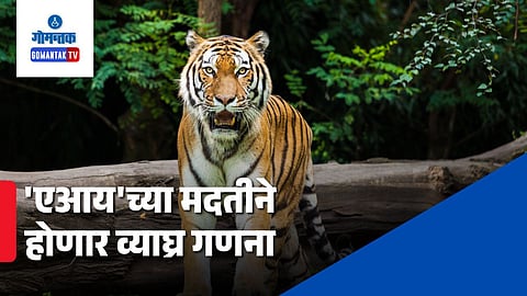 Goa Tiger Census 2026 AI