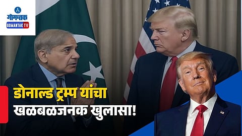 Shehbaz Sharif & Donald Trump