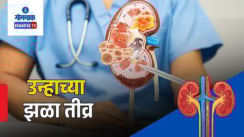 Goa Kidney Disease Cases