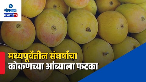 Konkan Alphonso Mango Export